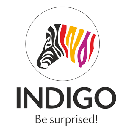 Indigo Paints